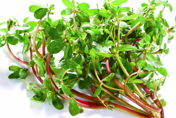 食堂承包餐飲服務(wù)管理為員工發(fā)展提供美味的食物，可以增加員工的社會福利